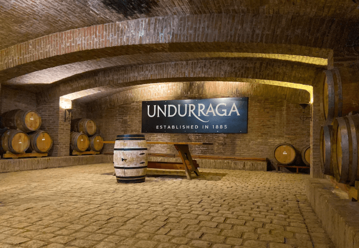 Tour na Vinícola Undurraga