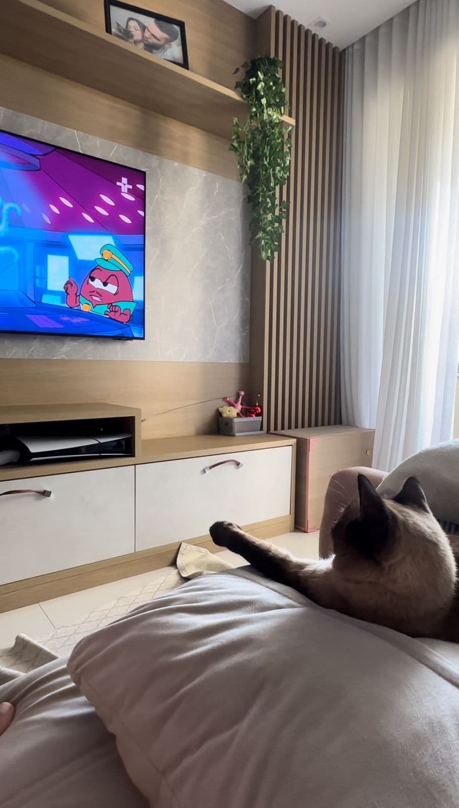 1 ano de YouTube premium pq não sei pular comercial