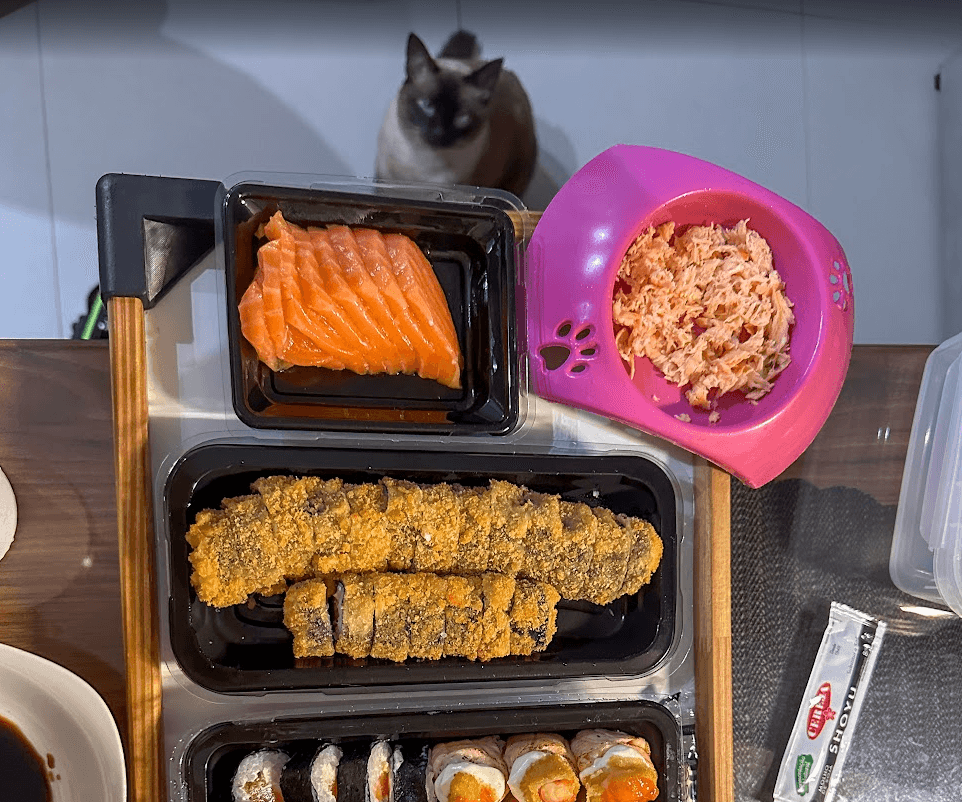 Porção extra de sashimi para Piuka